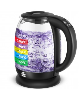 Temperature Controlled Electric Glass Kettle