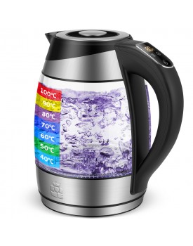 Temperature Controlled Electric Kettle