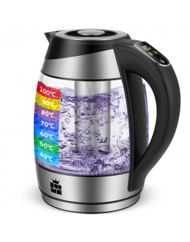 Temperature Controlled Electric Kettle