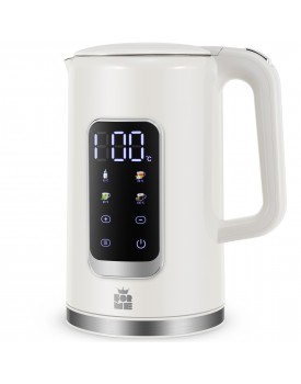 Temperature Controlled Electric Steel Kettle